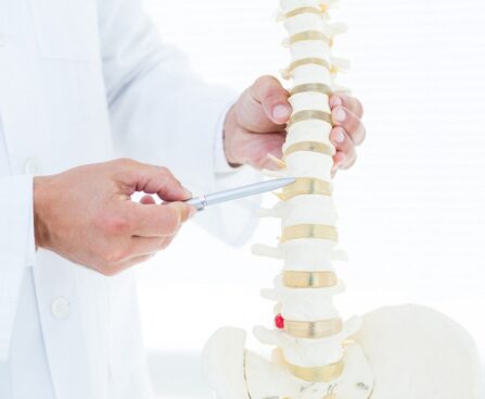 Orthopaedic Spine Surgeons