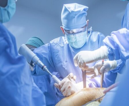 Vascular Surgeons